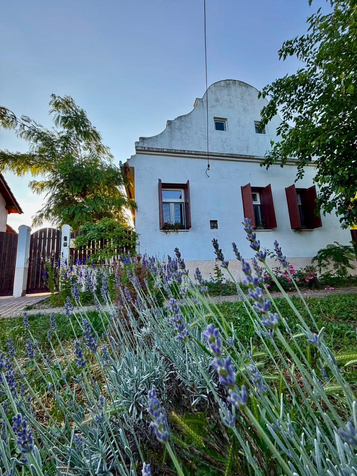 Pensiunea Dudesco — exterior