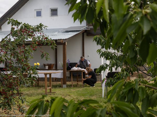 Casa cu Gutui